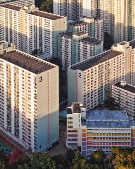 香港的公共屋邨「梨木樹邨」...