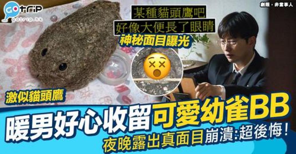 有網民分享屋企玄關嚟咗隻幼鳥BB...