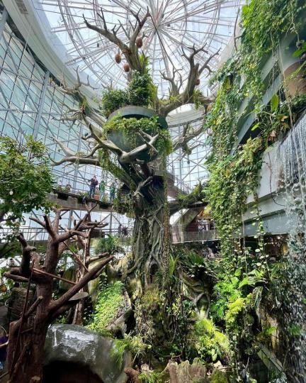 杜拜植物系綠色建築......