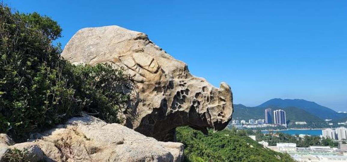 赤柱犀牛石，路程難度高的行山路...