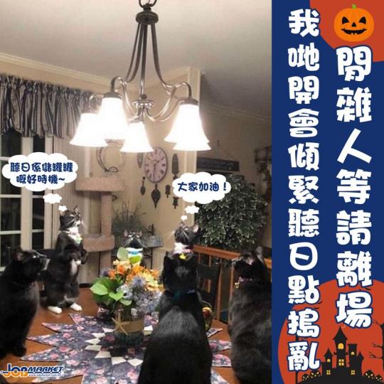「Treat or Trick！唔俾罐罐就搗亂！」...