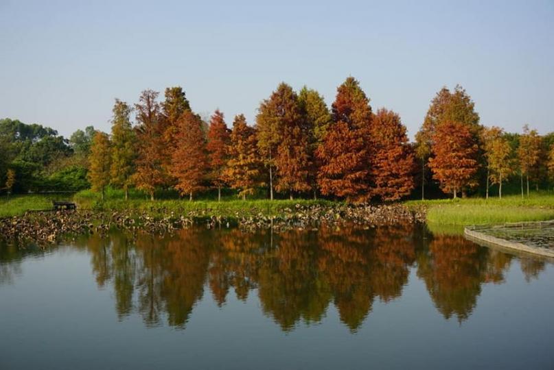 除夕日濕地公園遊…......