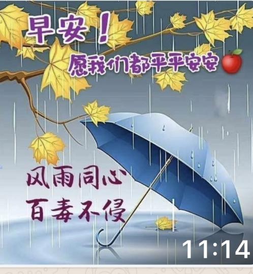 早晨，打風後的早上，有些微雨水...