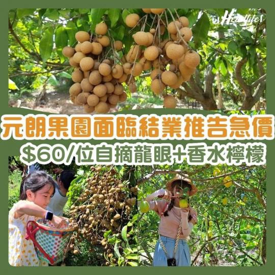 支持本地農業和本地老農夫潘媽媽...