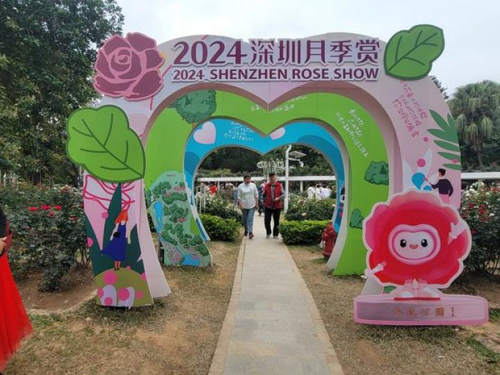 深圳人民公園月季賞 2024  ......