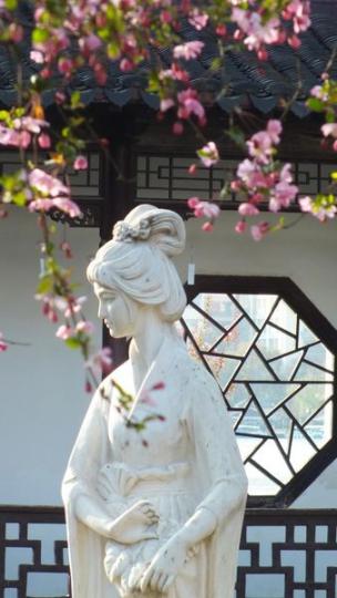 南京莫愁湖的海棠花開了...