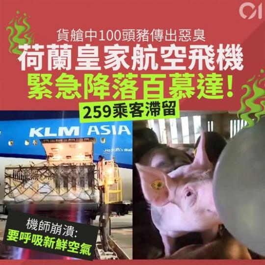 機師都頂唔順.......