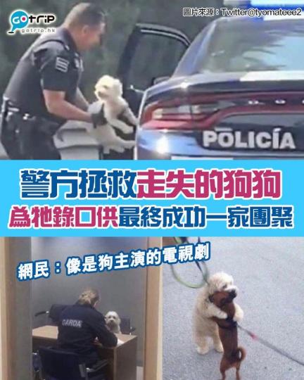 到狗狗最後一家團聚的畫面，真是非常溫馨啊！...