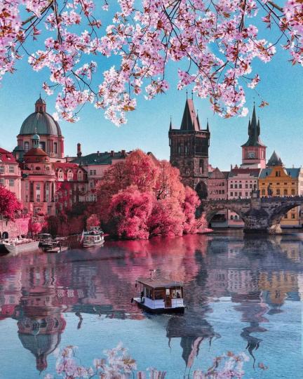湛藍的湖水倒映著粉紅色的建築和花卉...