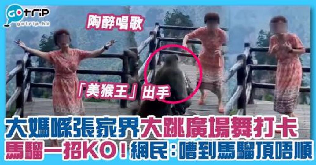 詳情：gotrip.hk/657340/...