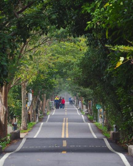 「潭雅神綠園道」那宛如洋芋片的波浪腳踏車道...