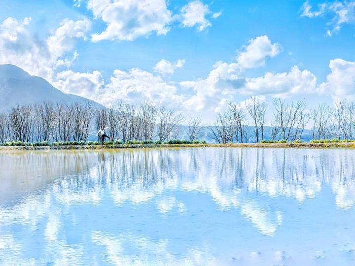 人間秘境的「翠綠森林公園」就在台灣！...