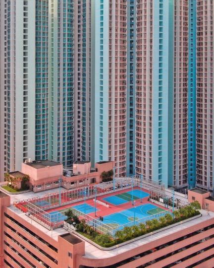 內行都說「就叫那個魚」讓很多人滿頭問號...