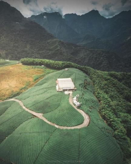 中間的小屋彷彿被八卦陣包圍...