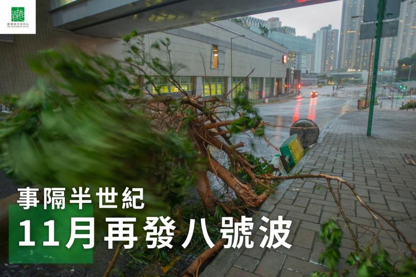 11月掛八號波 50年後再現...