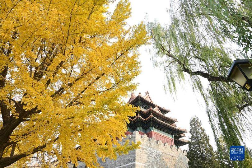 美麗景色令人陶醉.......
