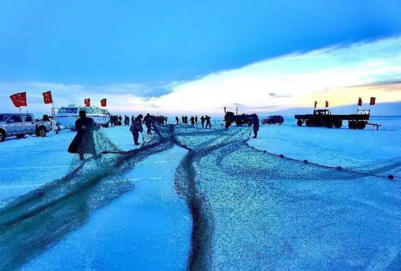 今年的達里湖冬捕旅遊季活動，將於12月28日在克旗達里湖景區盛大開啟...
