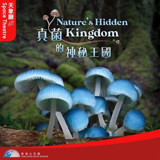 真菌係奇妙嘅生物，喺地球上幾乎無處不在...