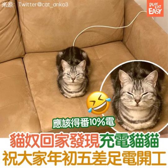 希望各位打工仔都好似貓貓咁，過年期間差足電，今日精神爽利開工...
