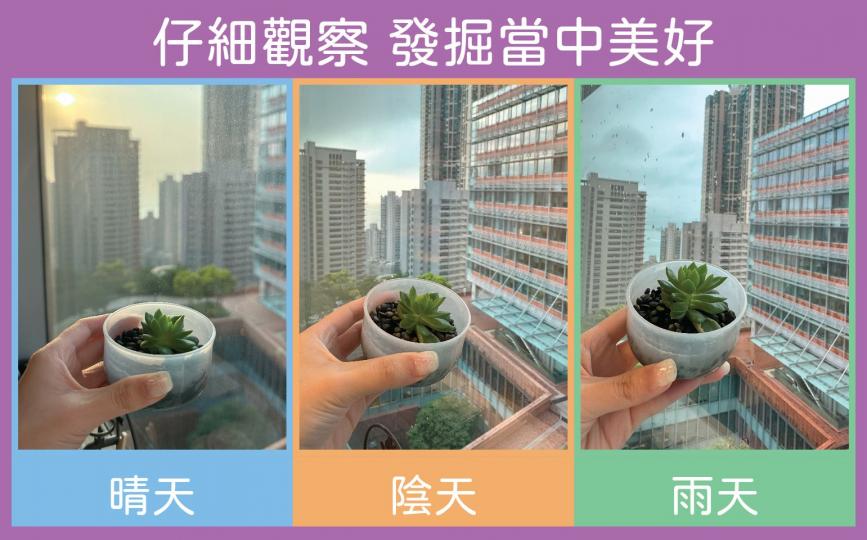 享受種植的樂趣 .........