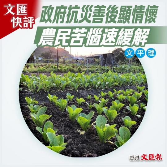 政府抗災善後顯情懷 農民苦惱速緩解...
