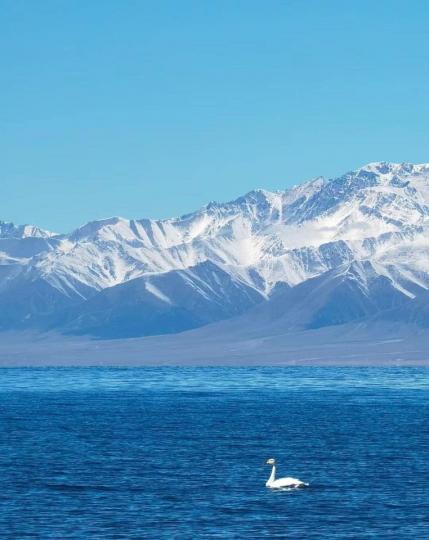 新疆賽里木湖，太美了......