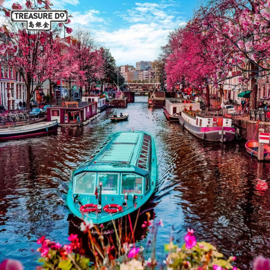 來自Amsterdam的早晨.......