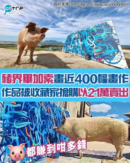 南非有隻豬叫「豬卡索」，佢可以用嘴咬住畫筆畫畫，已經畫咗接近400幅畫作！...