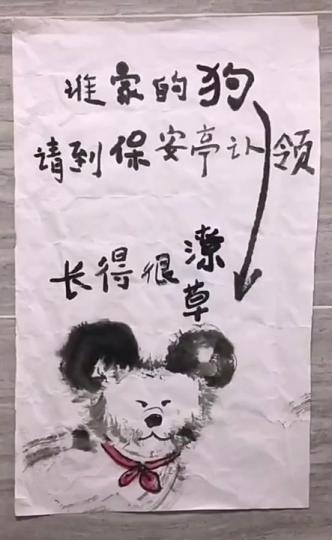管理員貼「走失狗貼畫像找飼主」...
