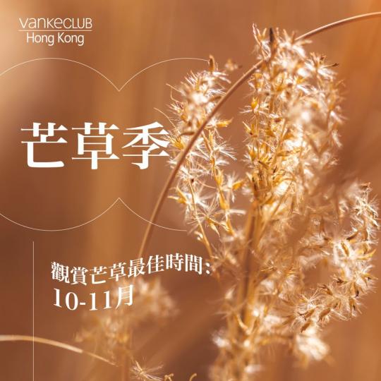 望吓山望吓海－芒草季.......