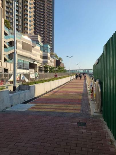 去完楓香林，再去跨湾大橋調景嶺影條橋靚D...
