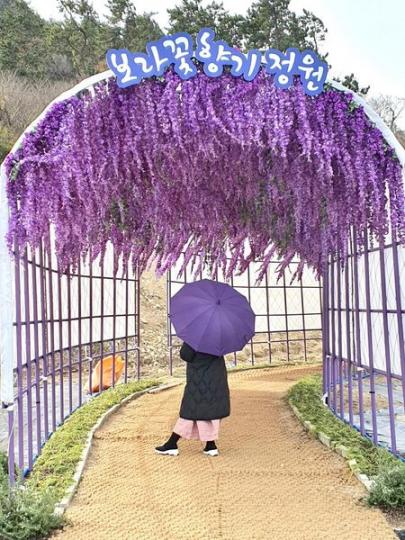 韓國
🇰🇷 💜紫💜因有你😍 率先出發...