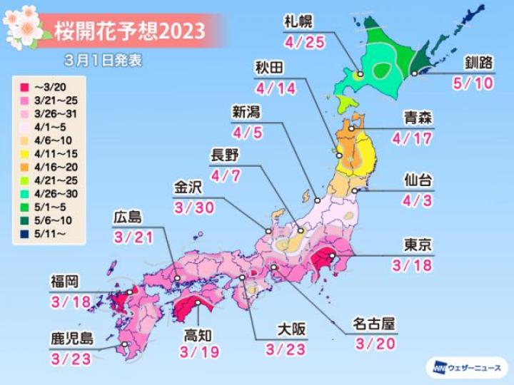 日本櫻花🌸季節快到😍粉絲一齊睇...