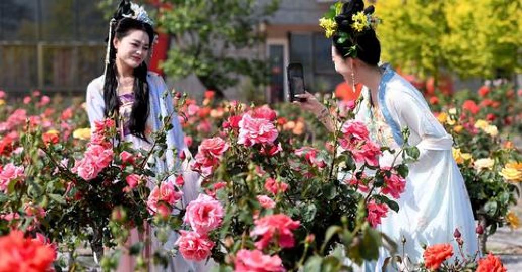 Attention, flower lovers!...