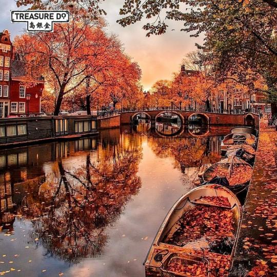 欣賞下阿姆斯特丹的秋日......
