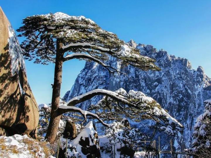 黄山一夜雪,渭水雁声多......