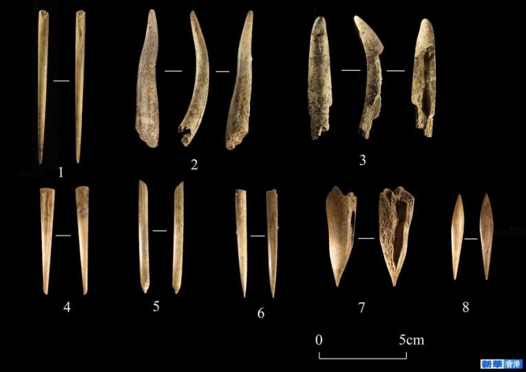 天津首次發現舊、新石器時代過渡遺存...