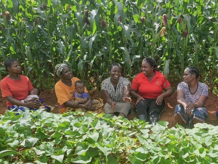 Malawian student uses Chinese farming techniques to plant seeds...