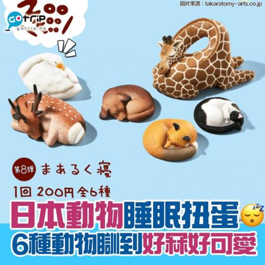 冬天最啱冬眠，最近日本熊貓之穴推出咗第8彈「動物睡眠扭蛋」，有長頸鹿、黑白貓、狐狸、狗狗、班點鹿同埋白鵝，瞓得好冧好可愛啊！...