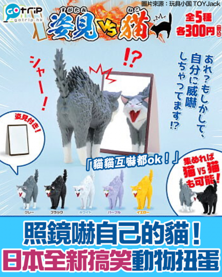 日本推出全新搞笑扭蛋！「姿見 VS 猫」扭蛋系列，可愛貓貓在全身鏡中看到自己，嚇到全身毛鬆豎起，超可愛！...