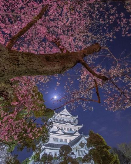 這座日本古城外有超夢幻星型護城河...