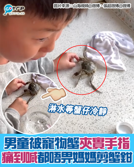 山東1名10歲男童近被蟹仔夾到手指...