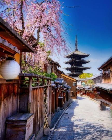 京都的春夏秋冬都美到像天堂.....