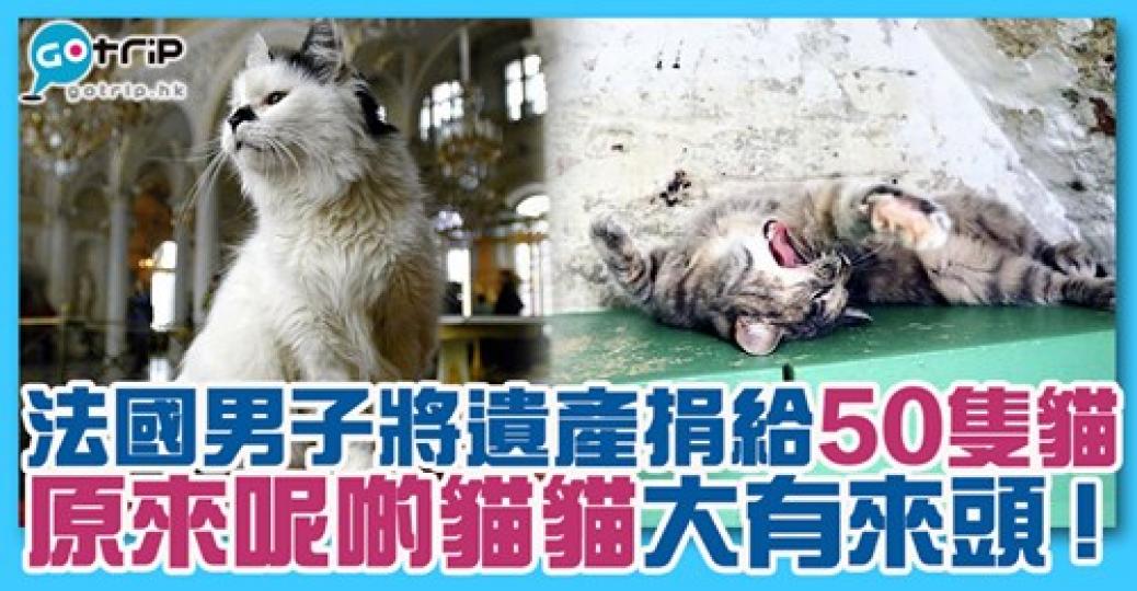 啲貓好可愛，詳情：gotrip.hk/625211/...