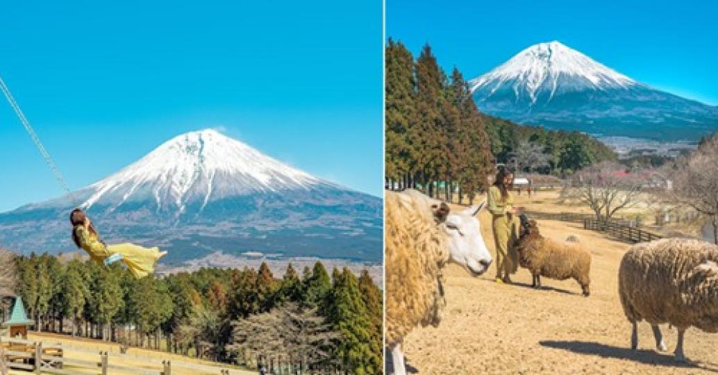和富士山一起盪鞦韆......