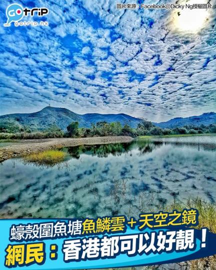 最近有名網民喺蠔殼圍魚塘影到奇景...