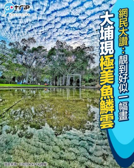 有網民早前喺大埔海濱公園影到絕美魚鱗雲...