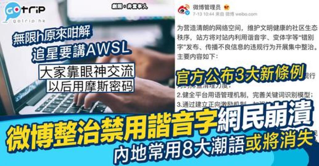 大批內地網民習慣用諧音同變體取代部分被禁用既字...