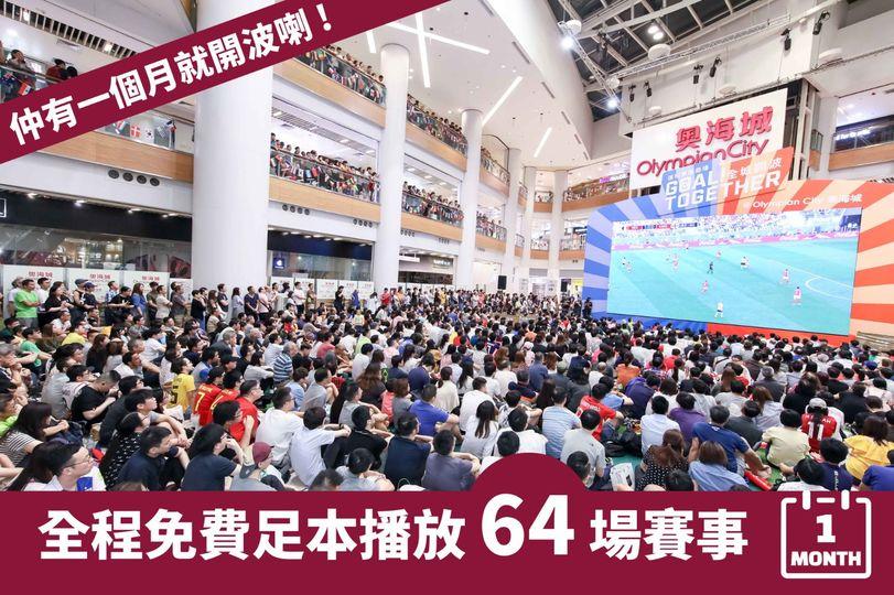 四年一度、球迷期待已久嘅...