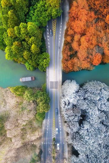 西湖楊公堤 · 春夏秋冬四景。...